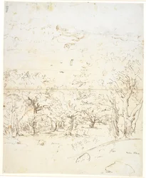 View Through a Forest to a Sound