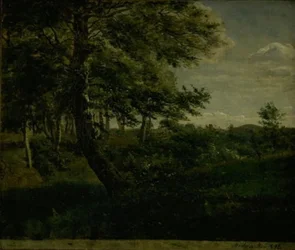 Ørsbjerg Forest at Aarup, Funen