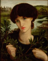 Water Willow