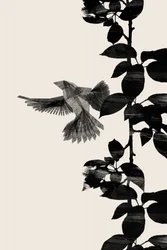 Flying Bird Silhouette