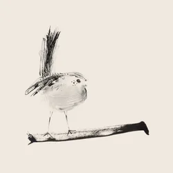 Long-Tailed Tit Drawing