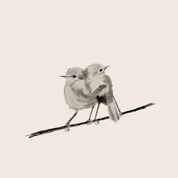 Sweet Bird Couple