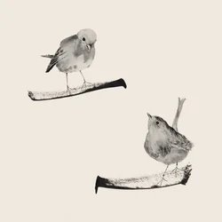 Two Gentle Birds