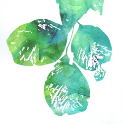 Vibrant Watercolor Leaves