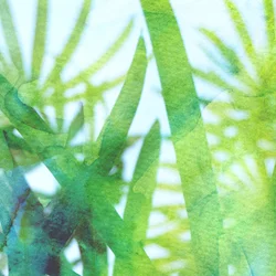 Watercolor Green Grass