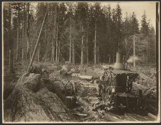 Logging/Timber Scene