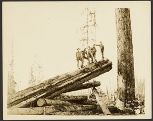 Logging/Timber Scene