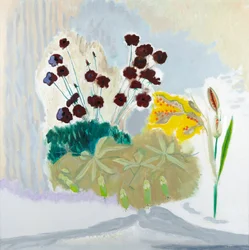 Seedpods and Cosmos