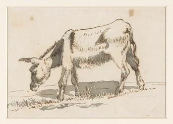 Grazing Donkey, Left View