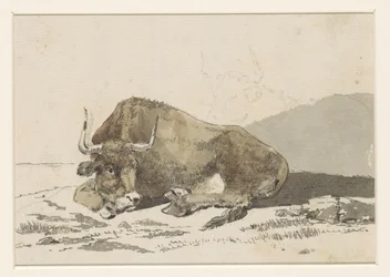 Lying Ox