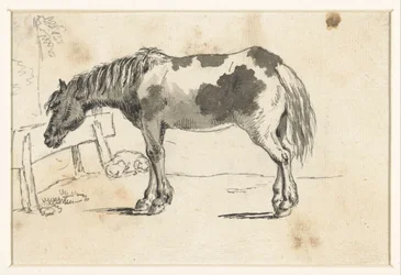 Standing Horse and a Lying Dog