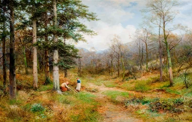 On The Long Mynd, Church Stretton, 1907
