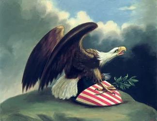 Bald Eagle and the Shield of the United States, c.1847