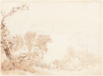 Hillside and Trees