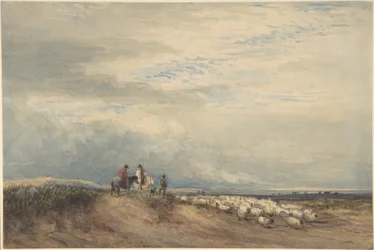 Riders with sheep near an estuary