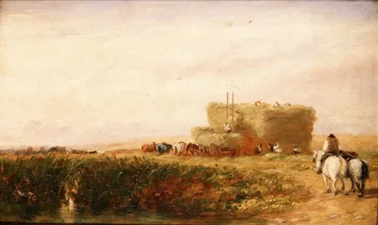 The Hayfield