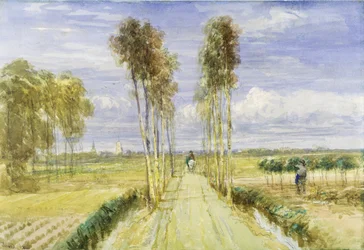 The Poplar Avenue