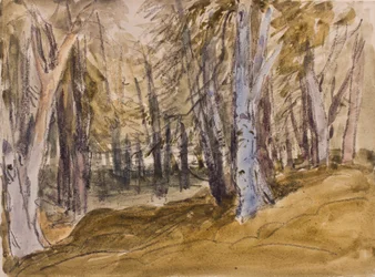 Trees on Box Hill