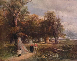 The Skirts of the Forest