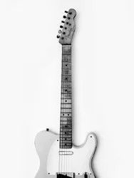 Timeless Electric Guitar