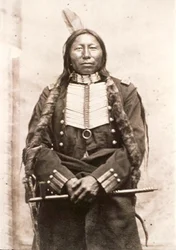 Crow King