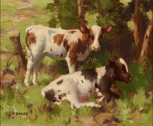 Calves In a Summer Landscape