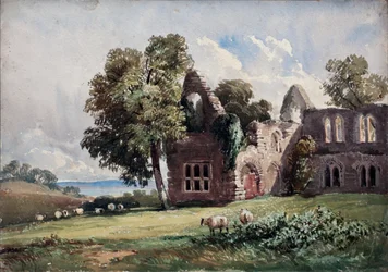 Ruined Abbey and Sheep