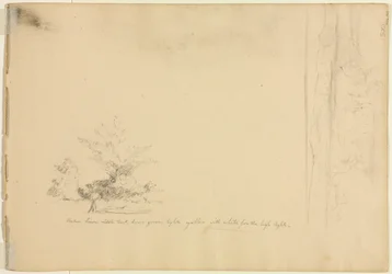 Landscape and Tree Studies, c. 1851