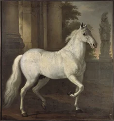 Karl XI