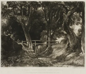 A Dell, Helmingham Park, Suffolk