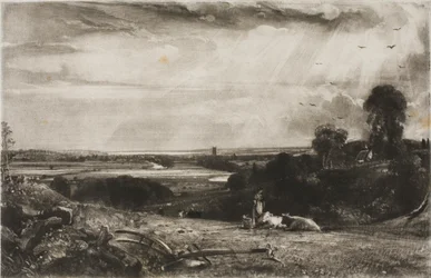 Summer Morning