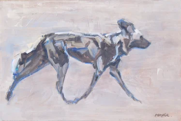 African Painted Dog
