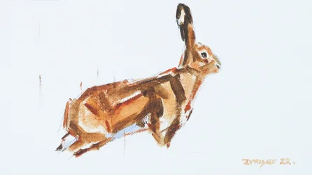 Hare