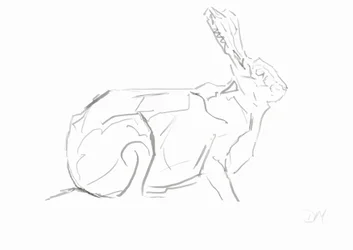 Hare