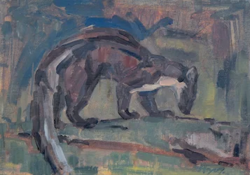Pine Marten, 2023
