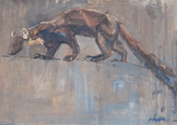 Pine Marten, 2023