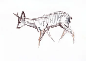 RoeBuck