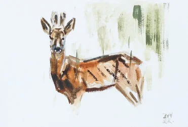 Roe Deer (Buck), 2022