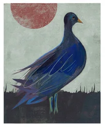 Pigeon Blues, 2023