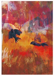 Sparrows