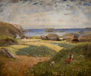 Crofts on the Island of Lewis