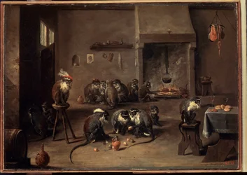 Monkeys in the Kitchen