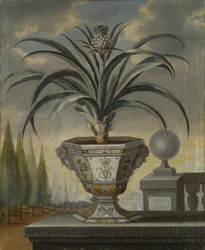 Pineapple Plant