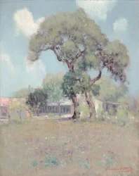 Texas Landscape