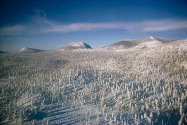 Siberia in winter landscape over marsh and forests covered in snow