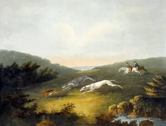 Coursing, plate 2