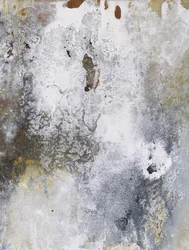 Aged Patina Canvas
