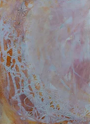 Delicate Blush Frost Patterns