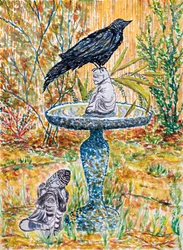Crow