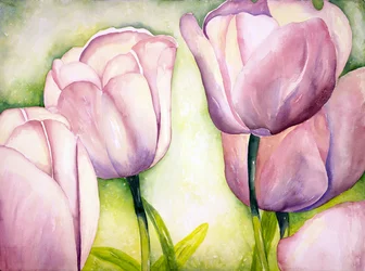 Lavender Tulips, 2006